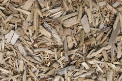 biomass boilers Prestwold